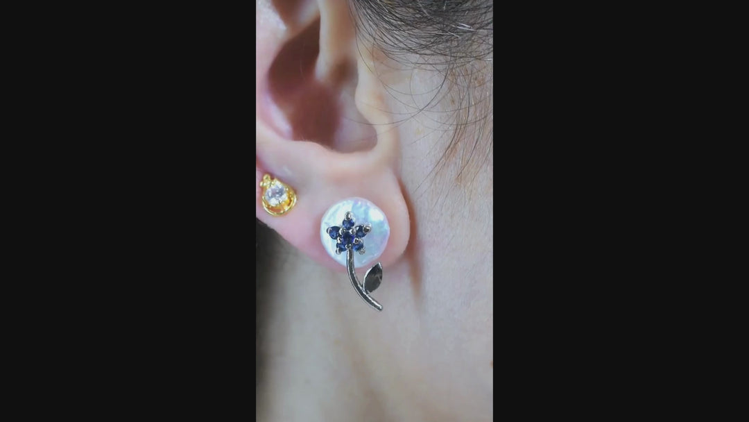 Midnight Ice Earrings
